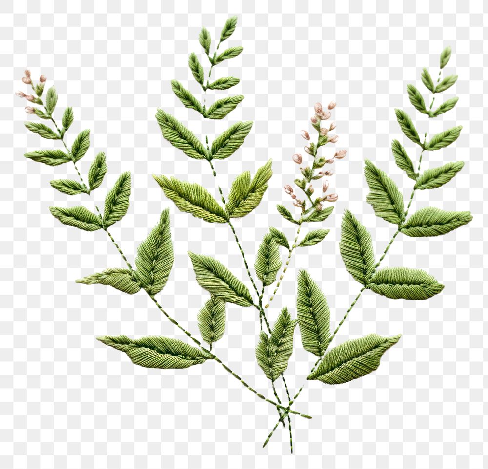 PNG Plant in embroidery style pattern herbs leaf.