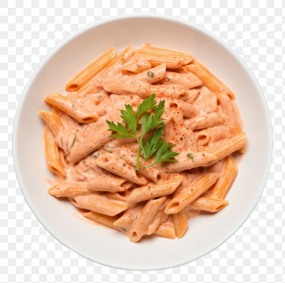 PNG  Tomato penne pasta plate.