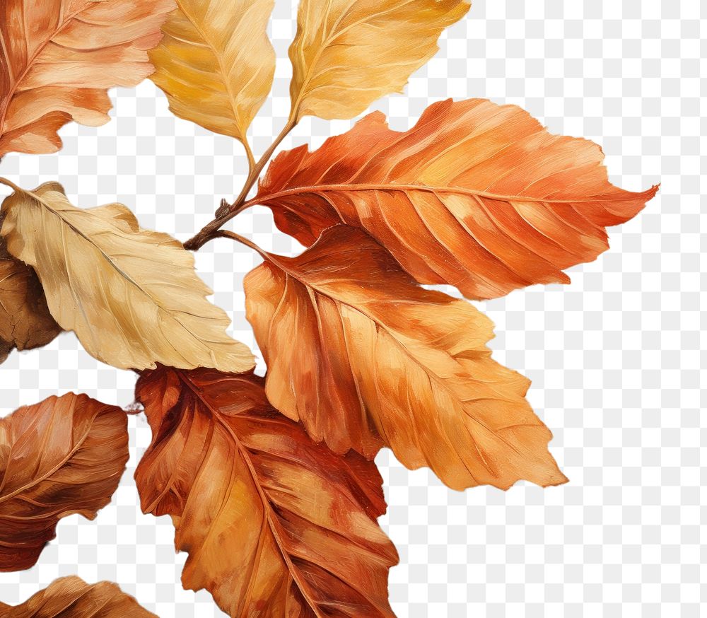 PNG Leaf painting backgrounds plant.