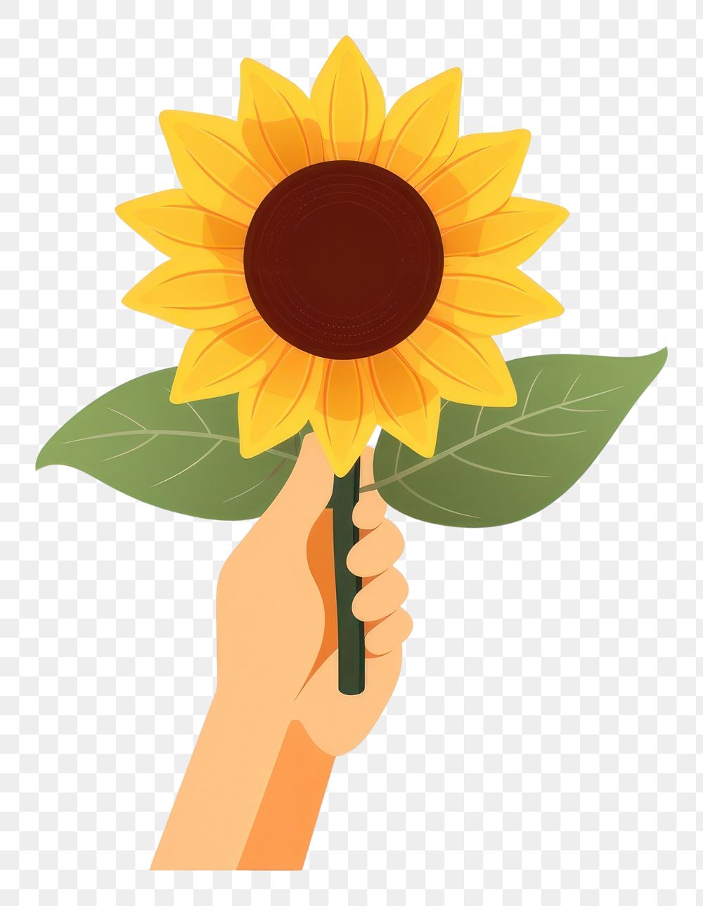 PNG Sunflower sunflower holding plant.
