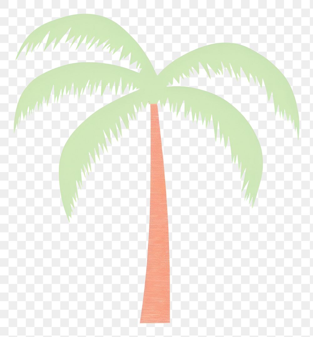 PNG  Coconut palm tree plant coconut palm tree white background.