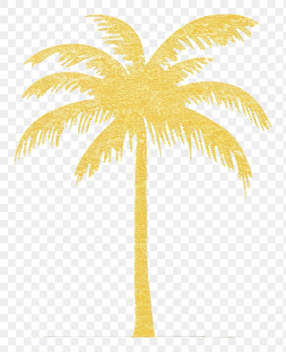 PNG  Coconut palm tree plant coconut palm tree arecaceae.