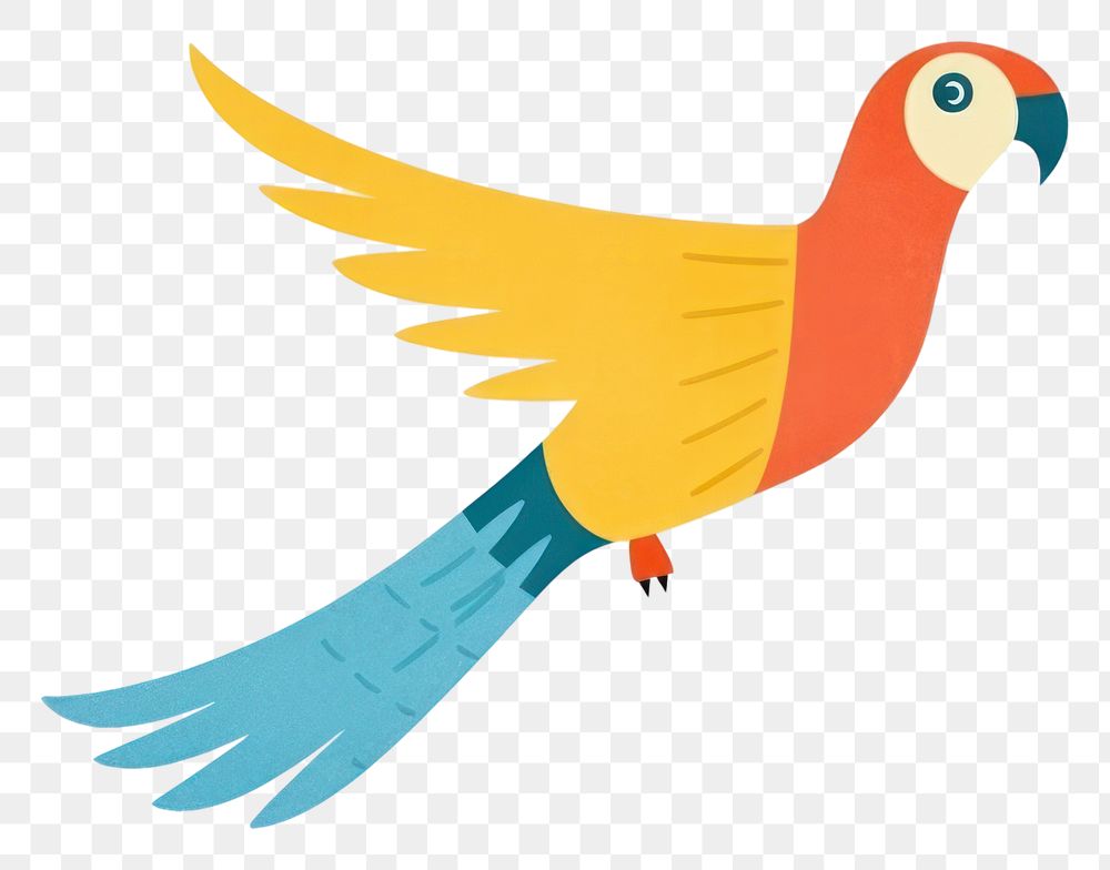 PNG  Parrot animal flying bird.