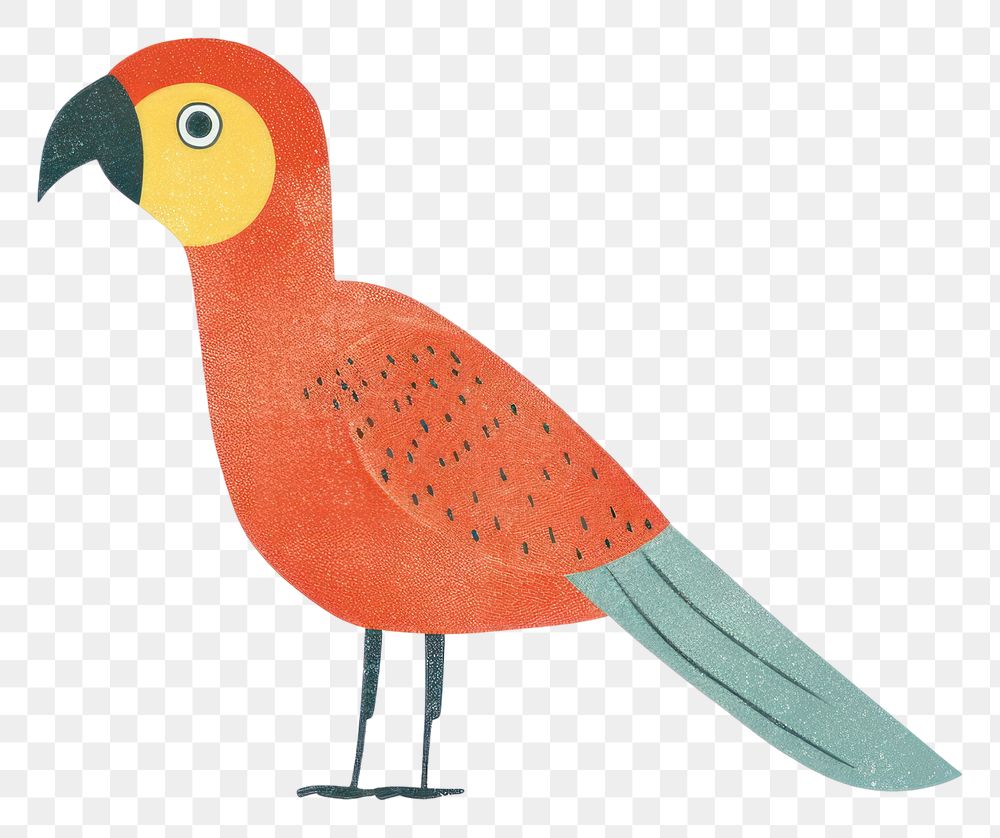 PNG  Parrot drawing animal bird.