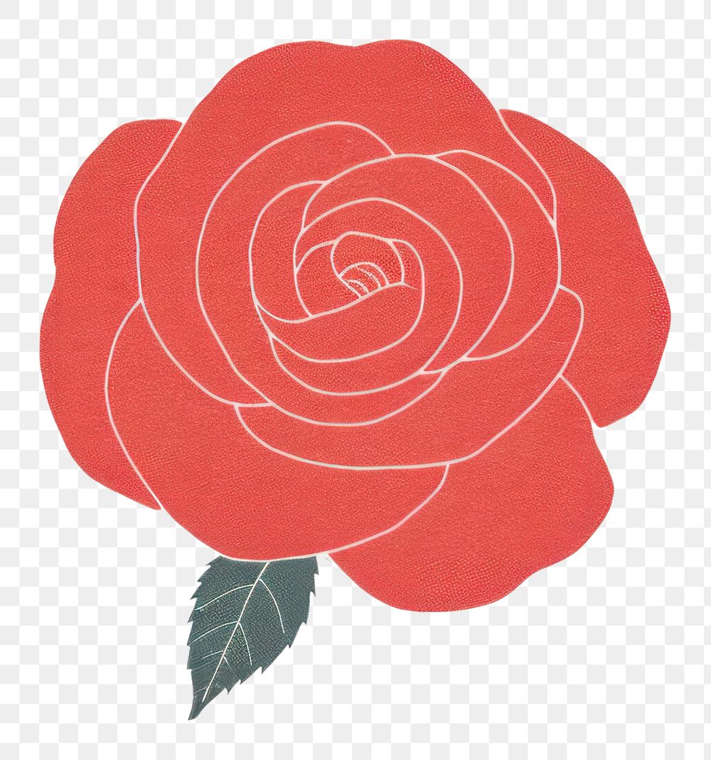PNG  Red rose flower pattern drawing plant.
