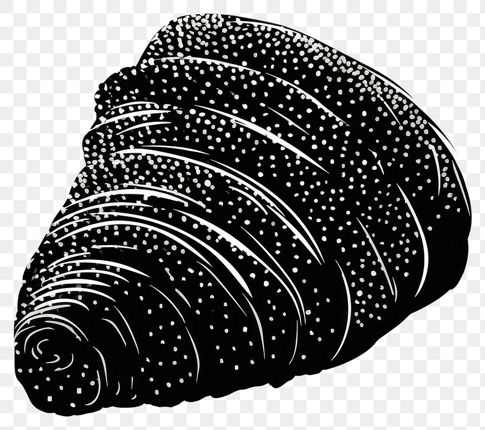 PNG Invertebrate seashell clothing seafood.