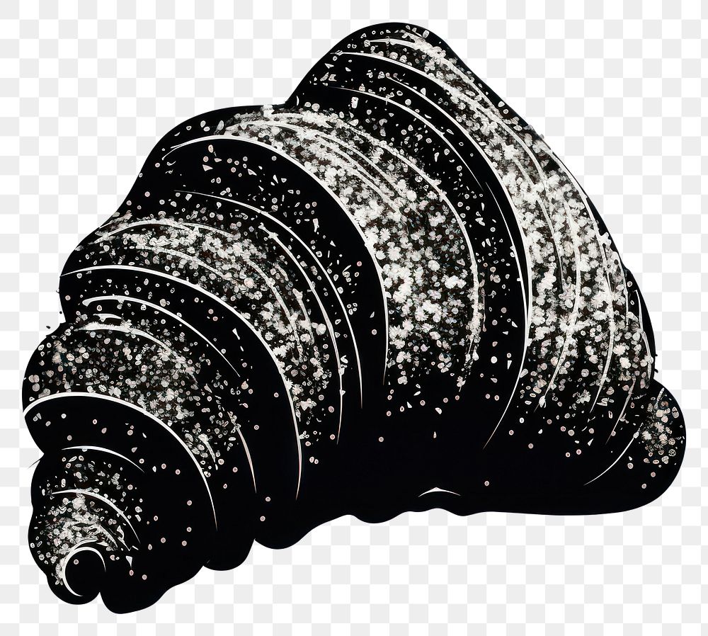 PNG Invertebrate seashell spiral animal.