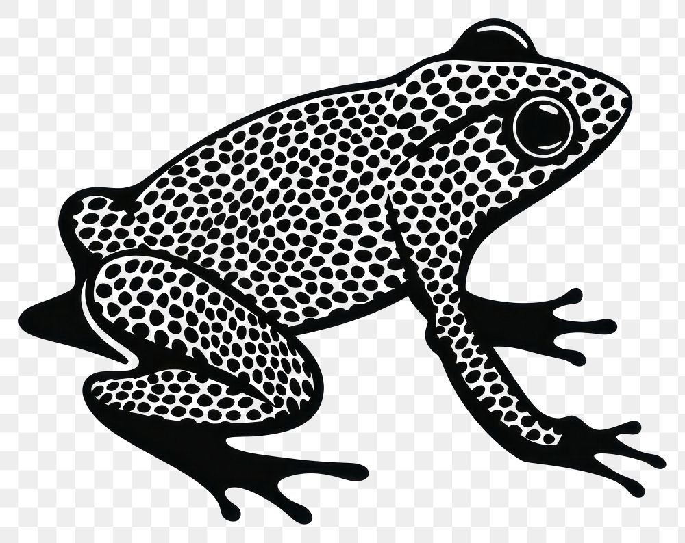 PNG Amphibian wildlife animal frog.