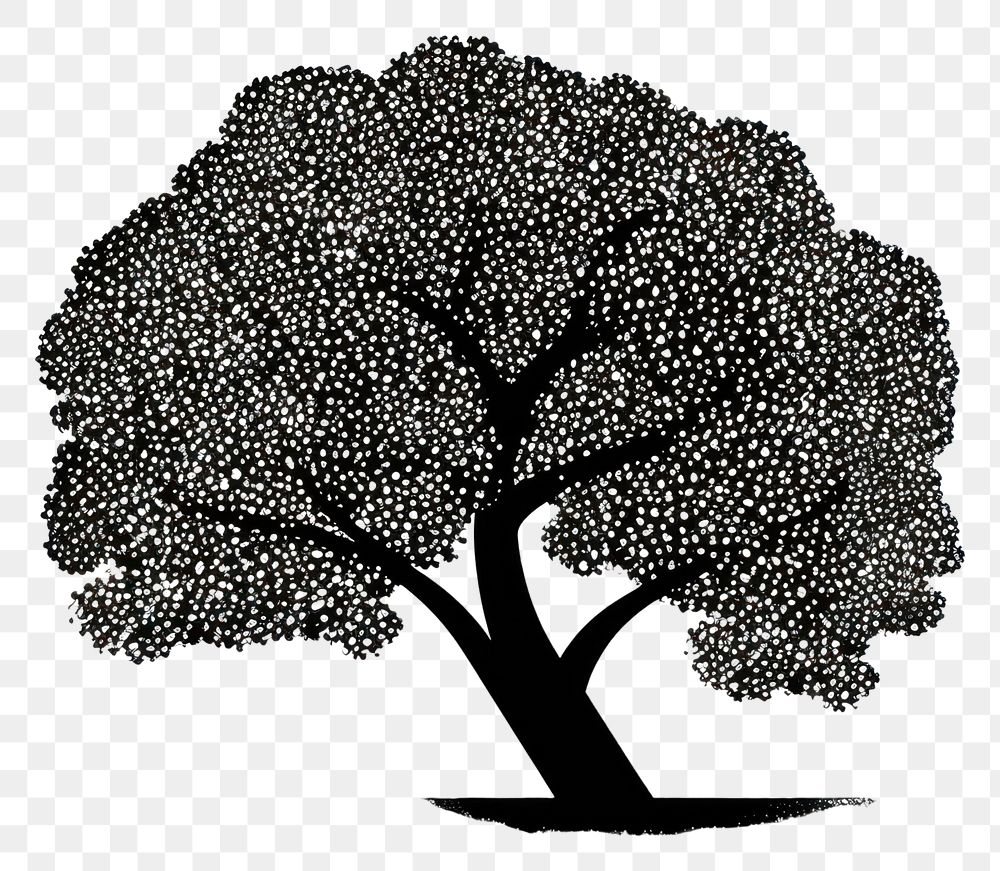 PNG Oak tree drawing sketch plant.