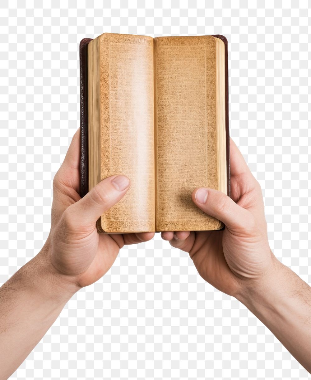 PNG  Hand Holding Bible publication holding reading. AI generated Image by rawpixel.