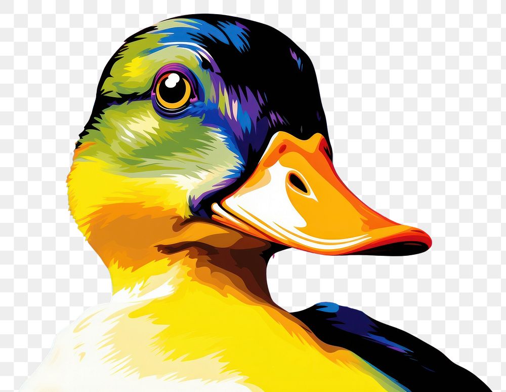 PNG Duck animal bird beak. AI generated Image by rawpixel.