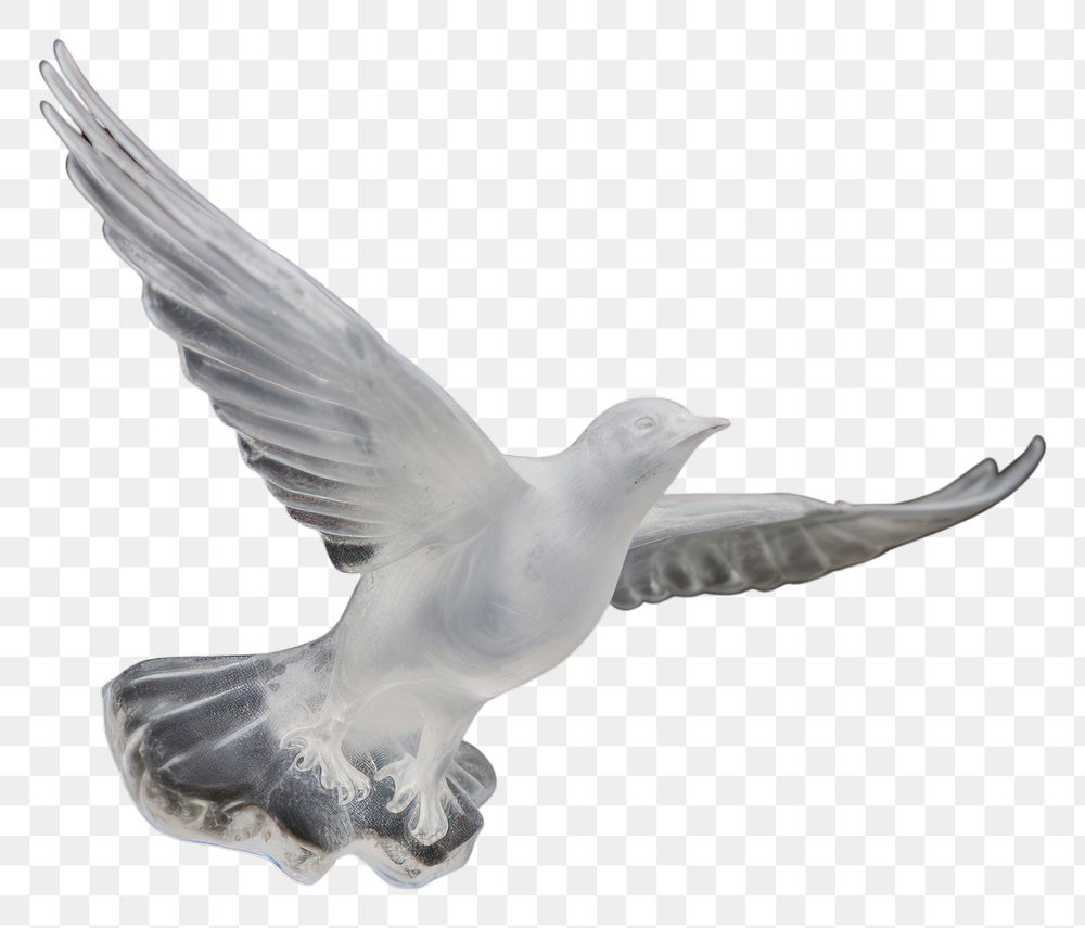 PNG Animal bird seagull flying.