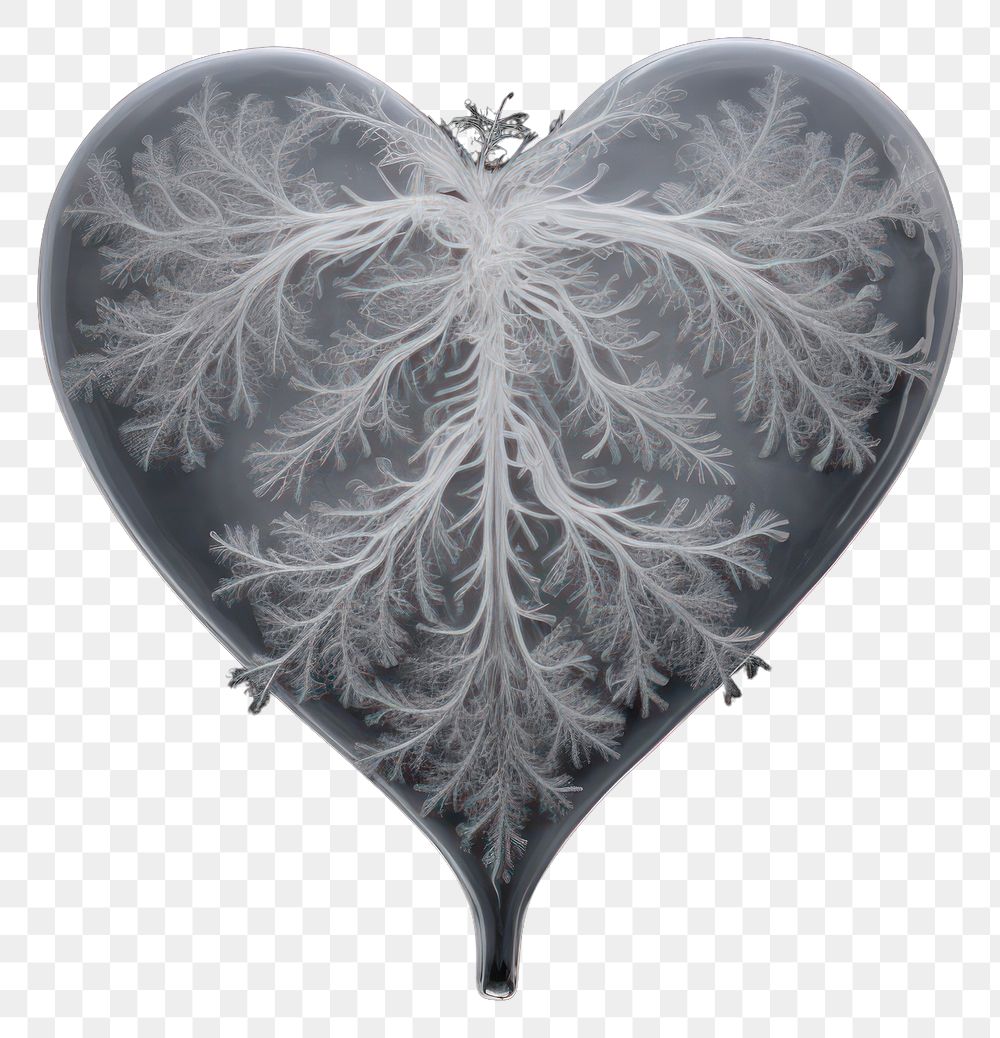 PNG Accessory heart ice accessories.