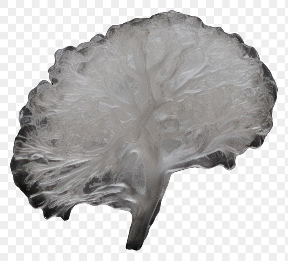 PNG Plant brain human ice.