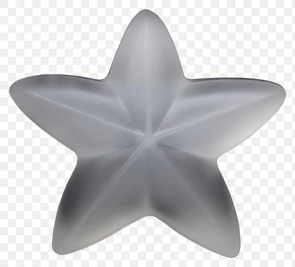 PNG Symbol star simplicity echinoderm.