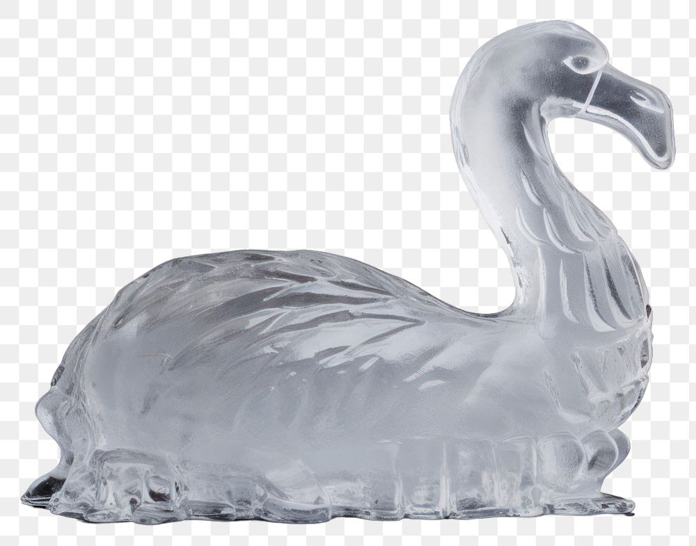 PNG  Swan frosted ice animal bird beak.