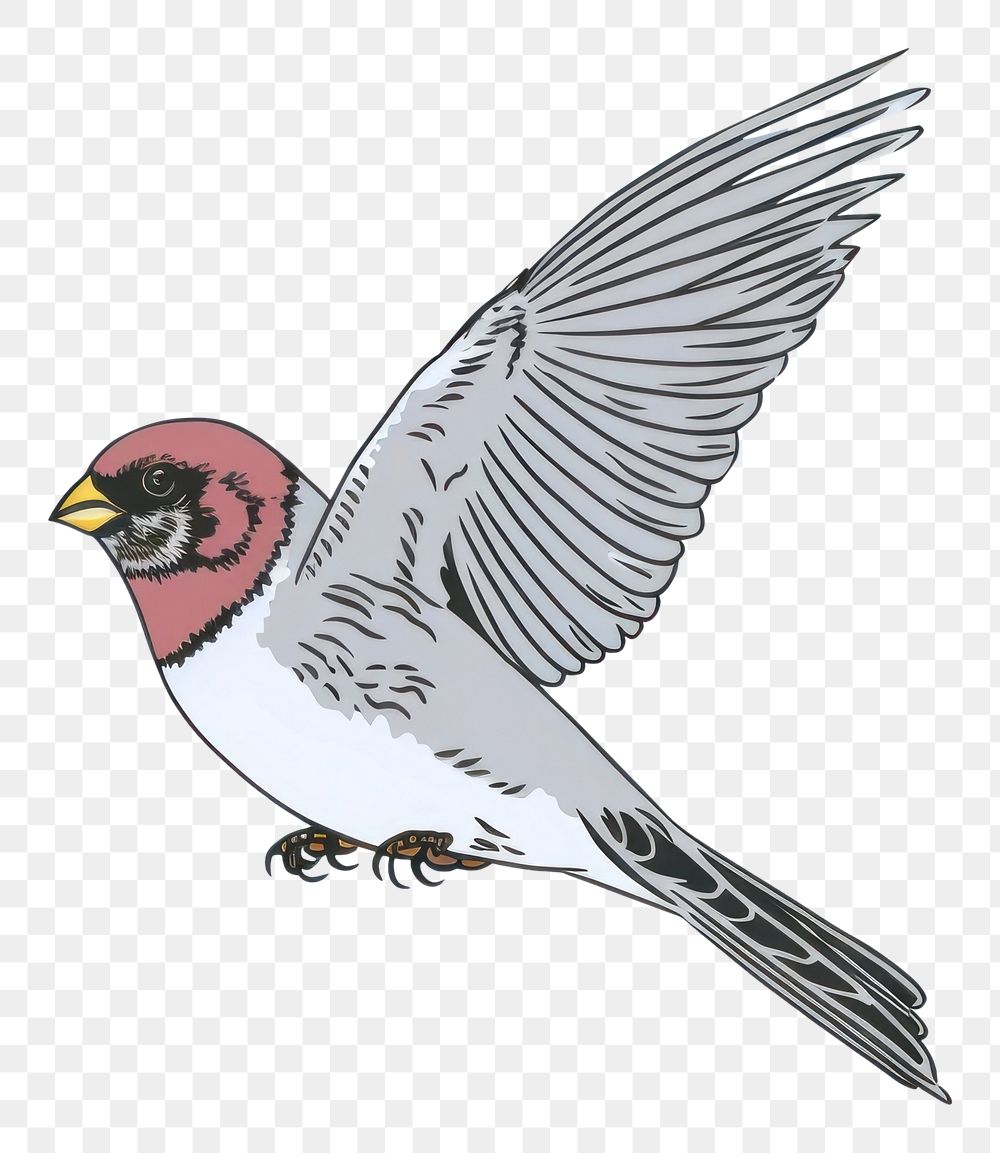 PNG  Bird flying sparrow animal.