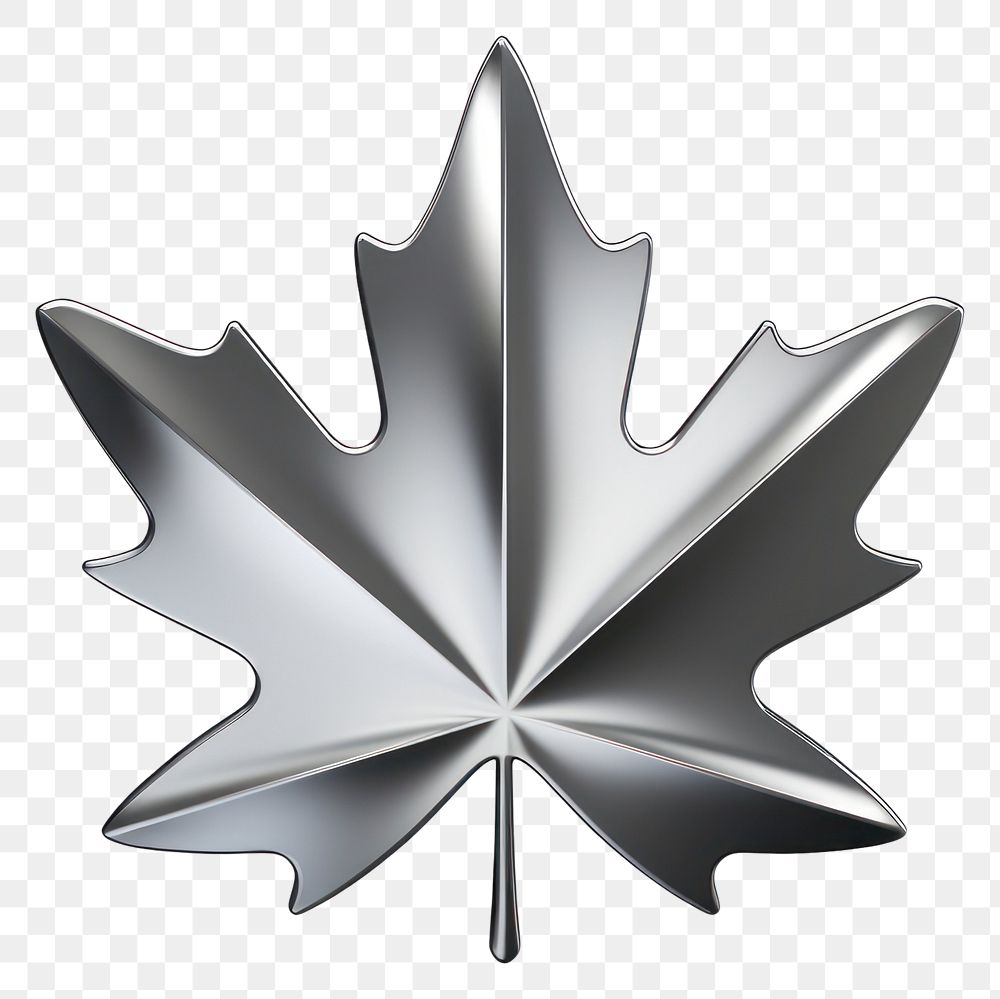 PNG Maple leaf icon Chrome material silver shape shiny.