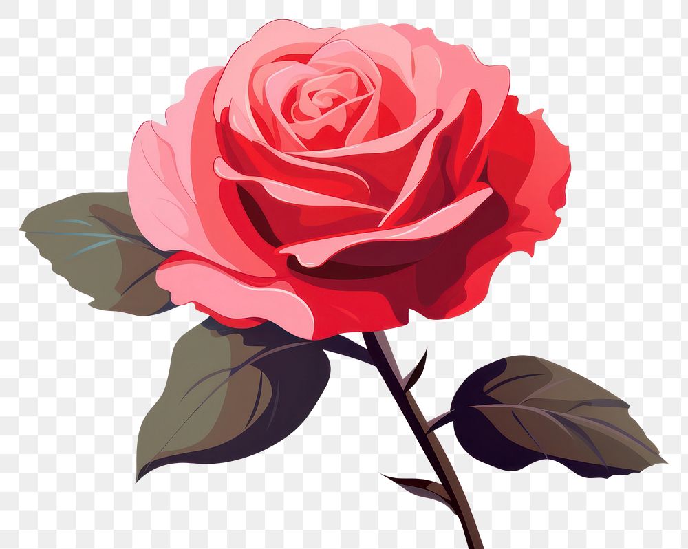 PNG  Rose flower plant inflorescence.
