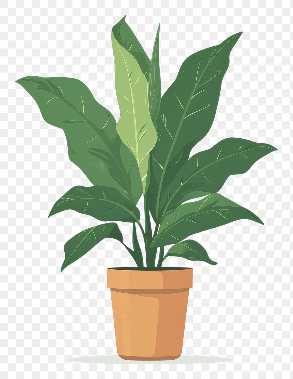 PNG Plant flowerpot leaf white background.
