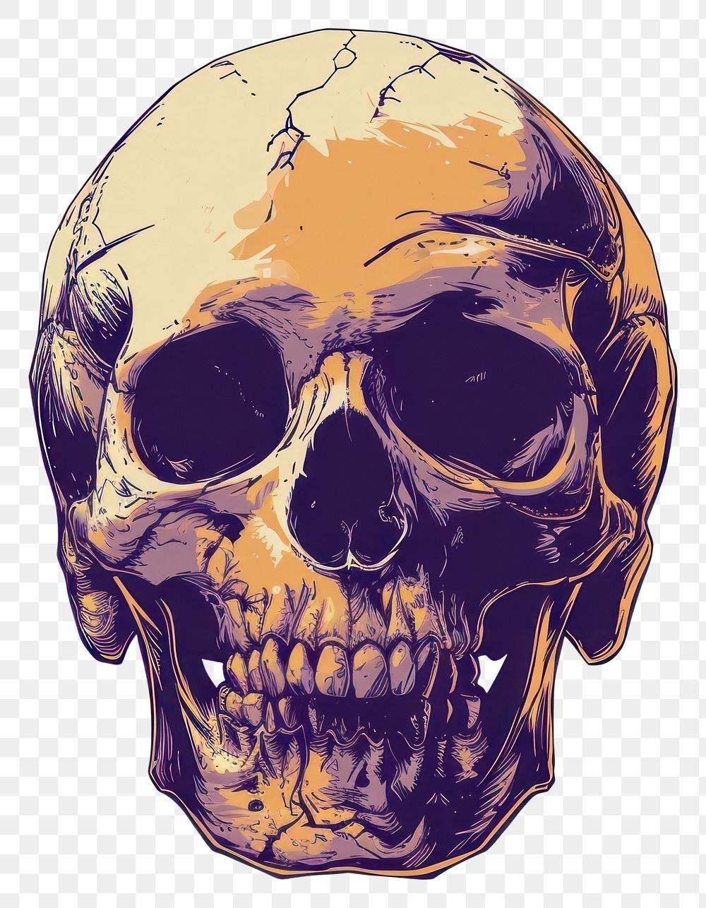 PNG  Skull white background anthropology creativity.