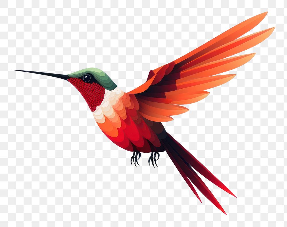 PNG  Hummingbird flying animal beak white background. AI generated Image by rawpixel.
