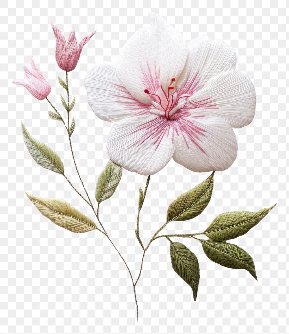 PNG A thai flower in embroidery style plant white art.
