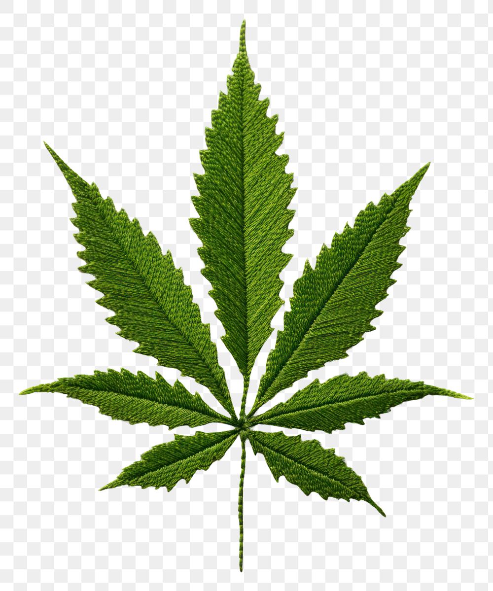 PNG A cannabis in embroidery style plant herbs leaf.