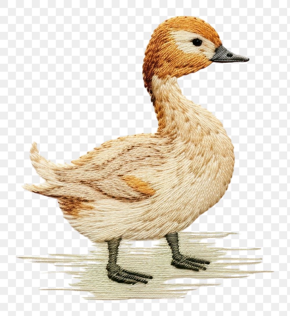 PNG A duck in embroidery style animal goose bird.