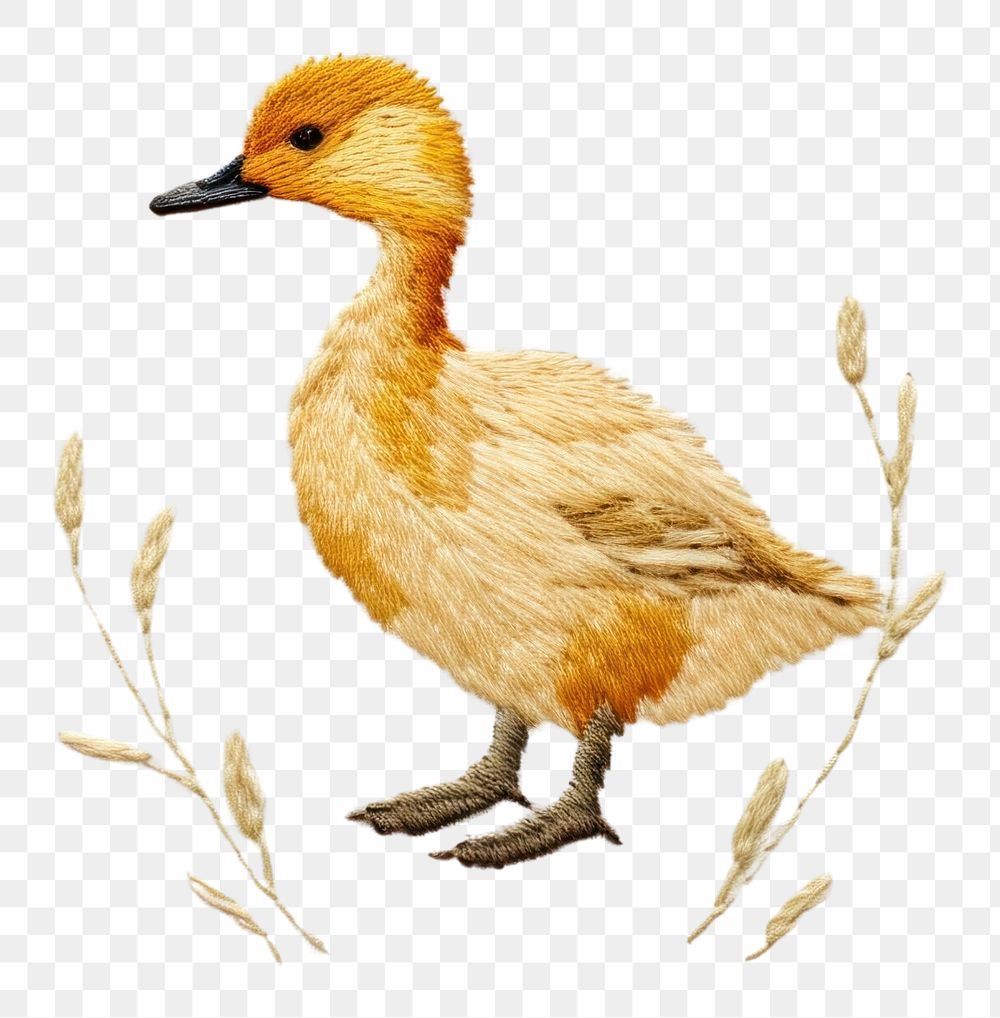 PNG A duck in embroidery style animal bird beak.