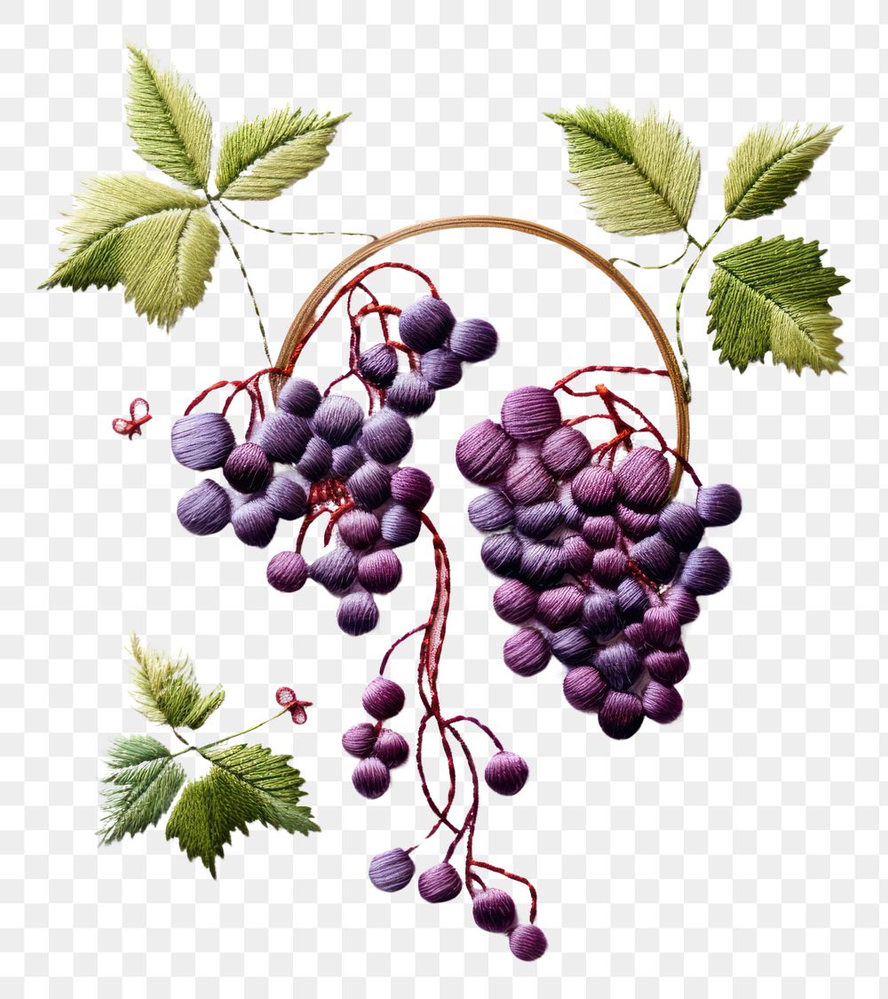 PNG A grapes in embroidery style fruit berry plant.