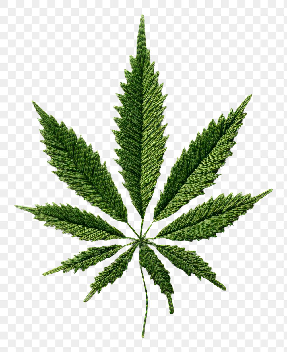 PNG A marijuana in embroidery style plant herbs leaf.