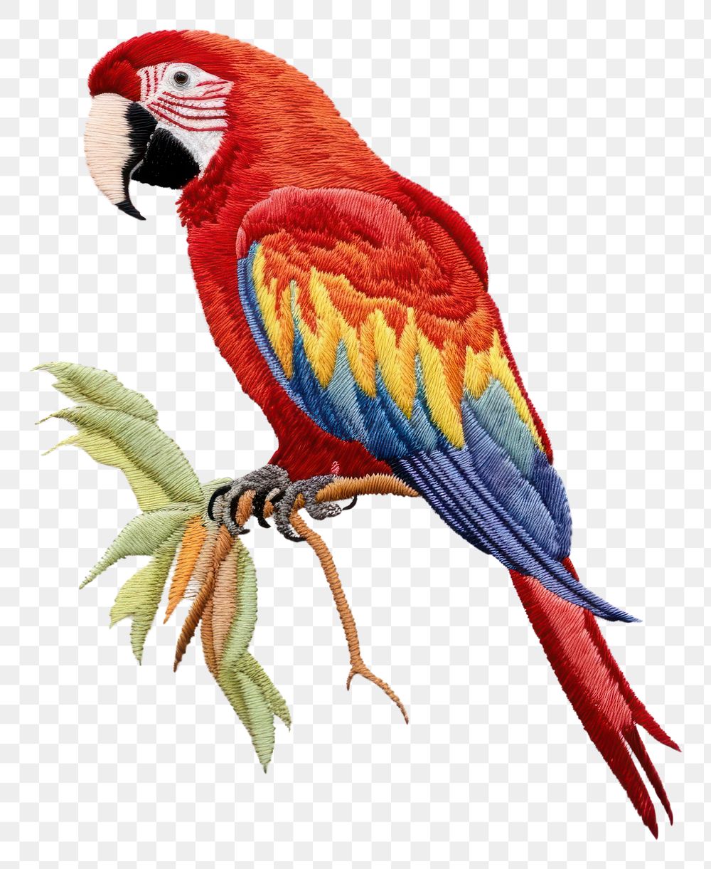 PNG A parrot in embroidery style animal bird creativity.