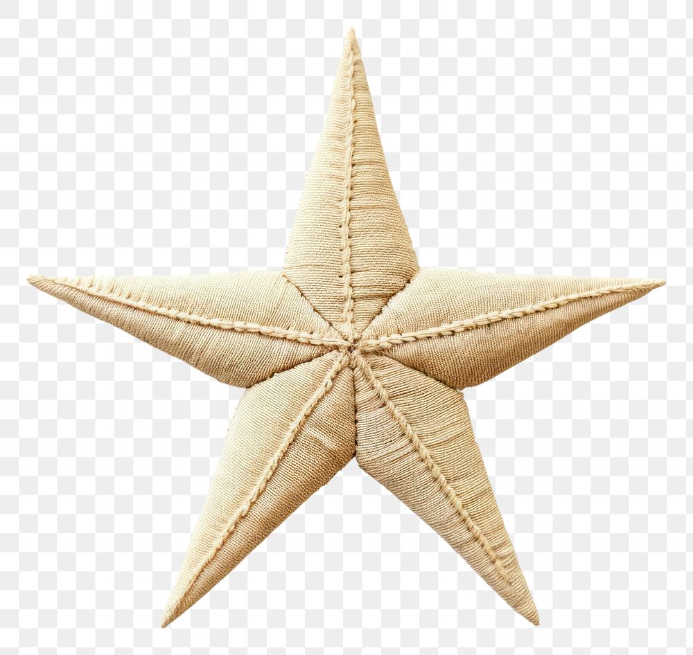 PNG A star in embroidery style simplicity echinoderm starfish.