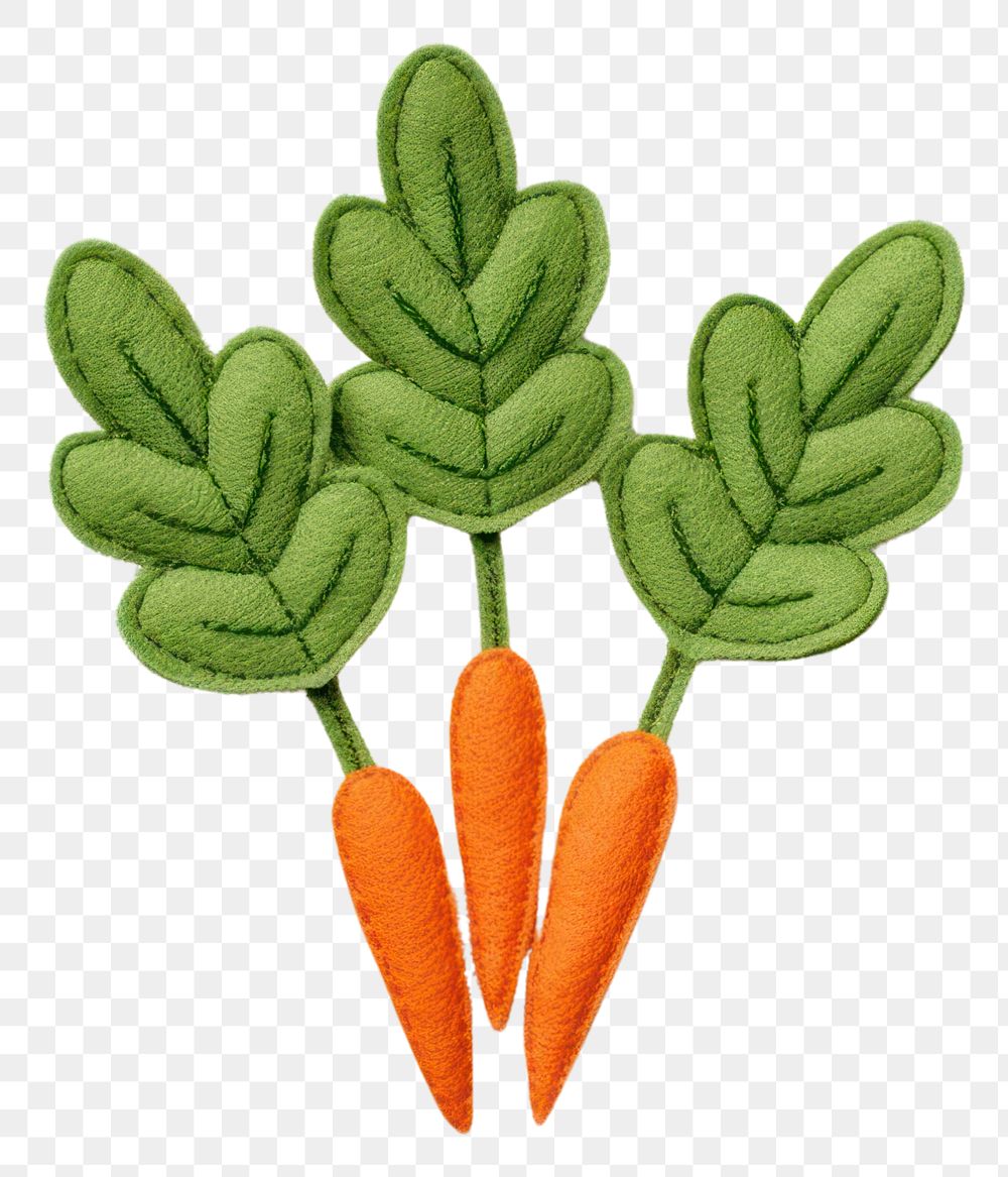 PNG Vegetable carrot plant food.