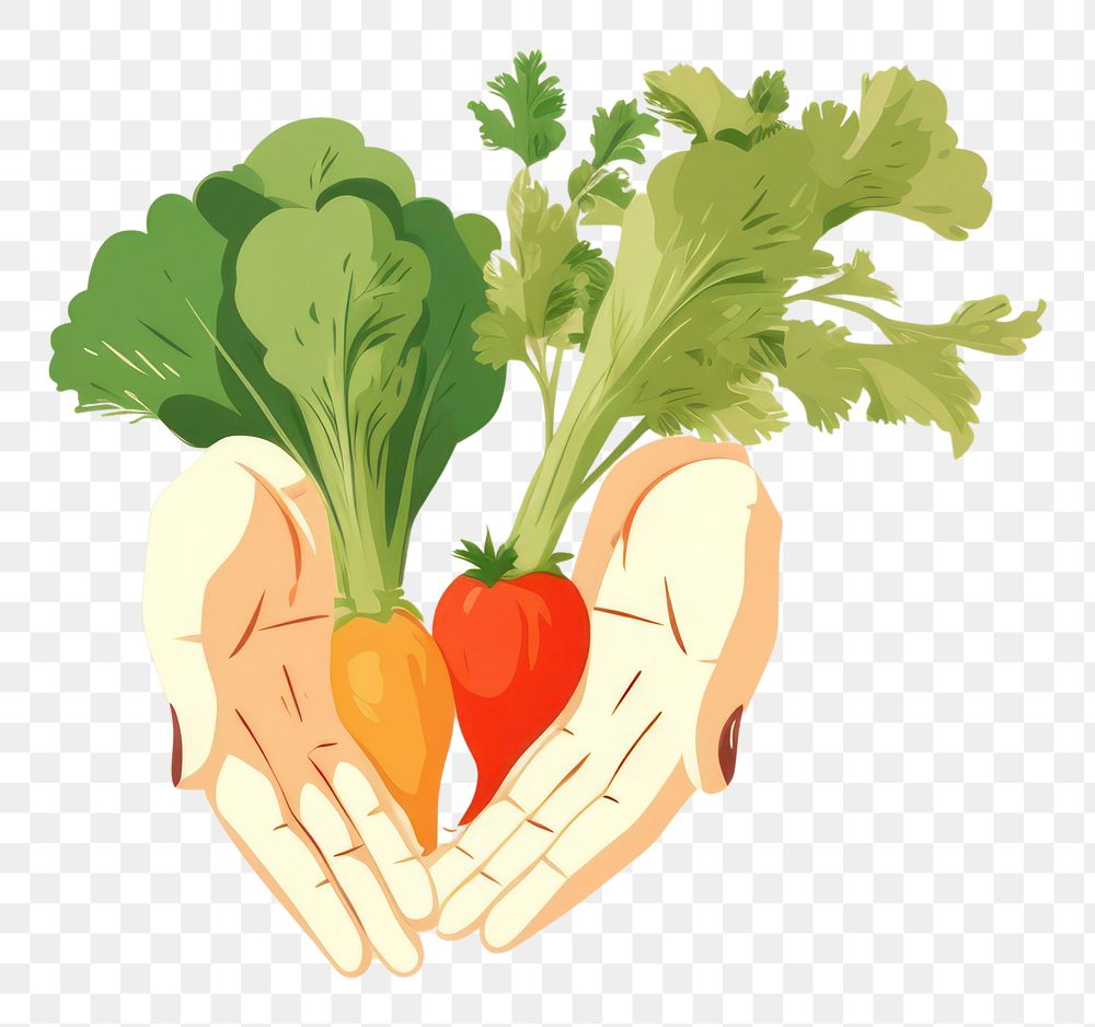 PNG Vegetable holding radish plant.