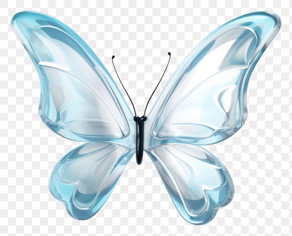 PNG Butterfly transparent animal insect.