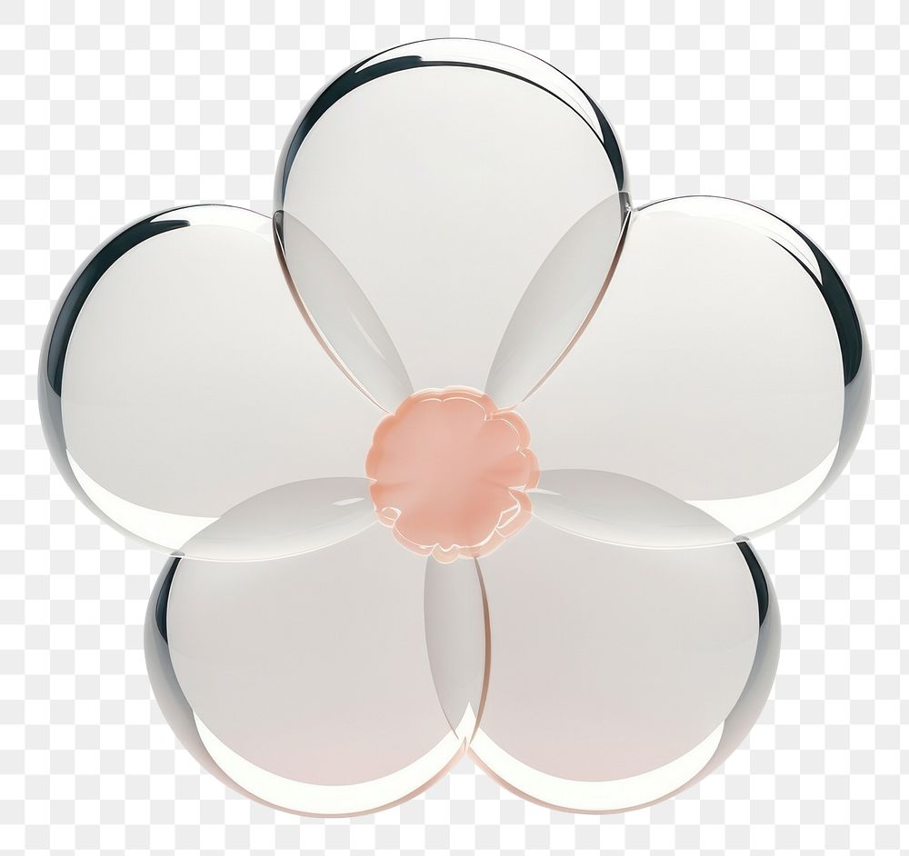 PNG White flower jewelry white background inflorescence.