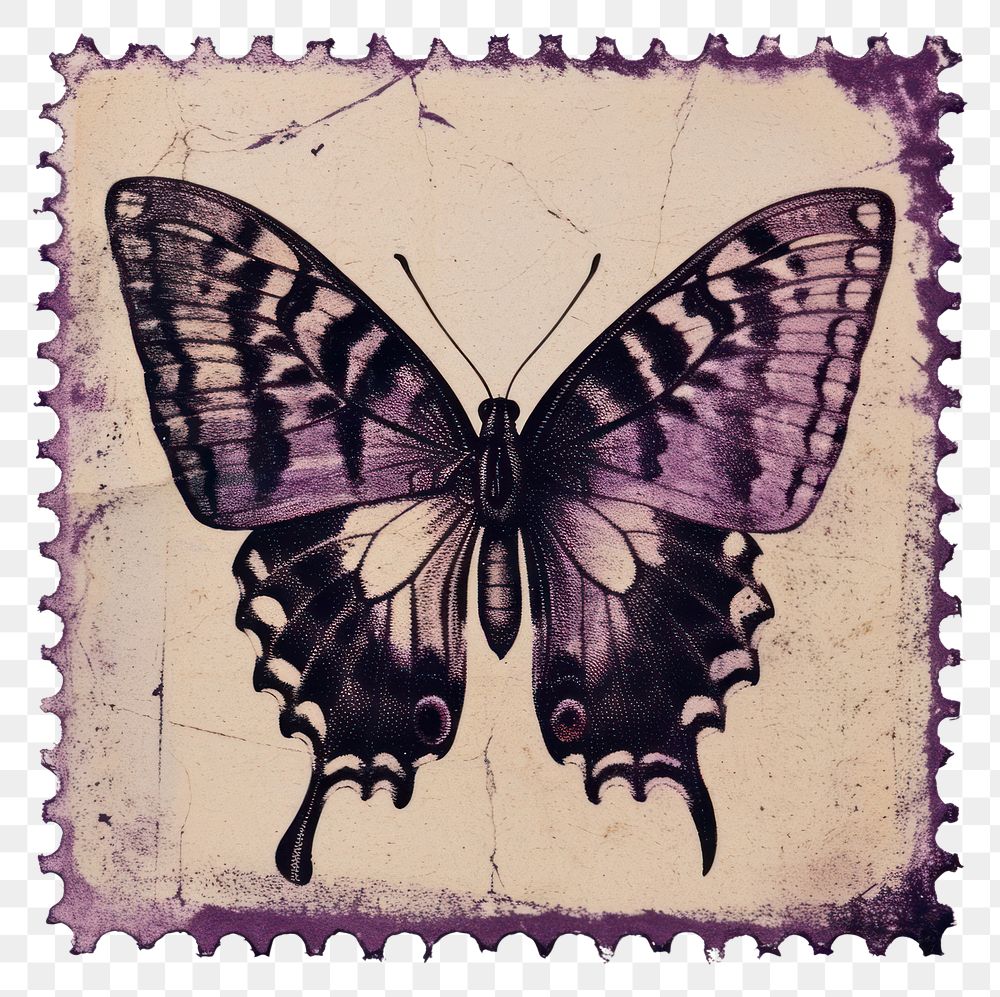 PNG Creativity butterfly lavender pattern.