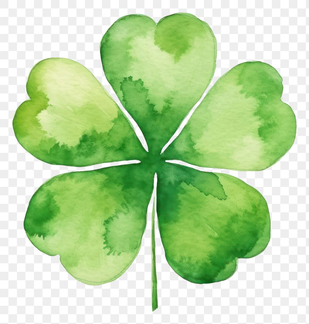 PNG Clover leaf backgrounds green creativity.