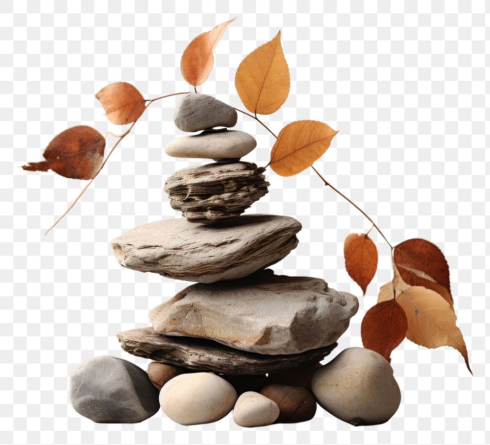 PNG  A pile of rocks sitting on top of a table plant leaf art. AI generated Image by rawpixel.