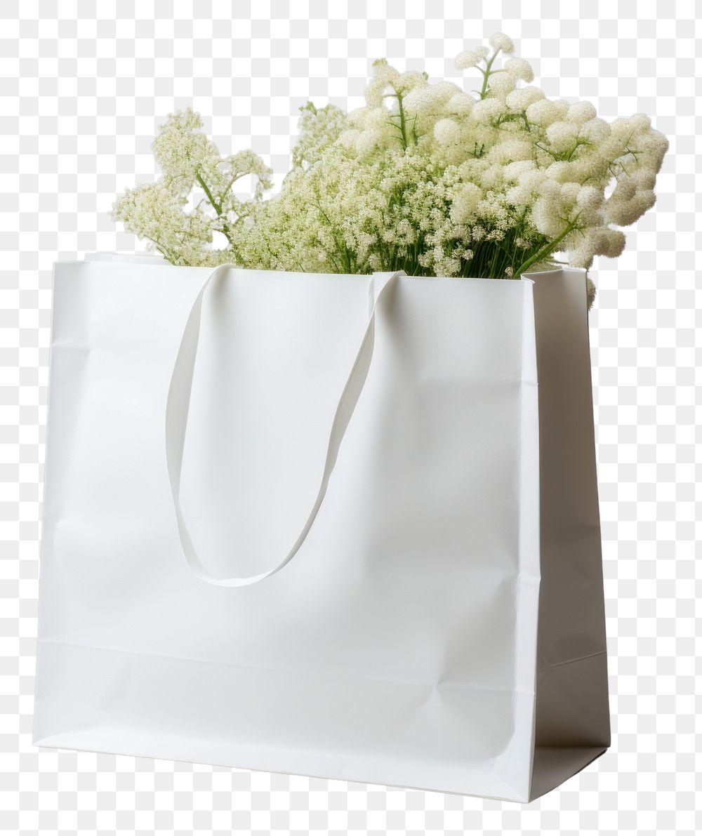 PNG  Flower carrier bag mockup plant white studio shot.