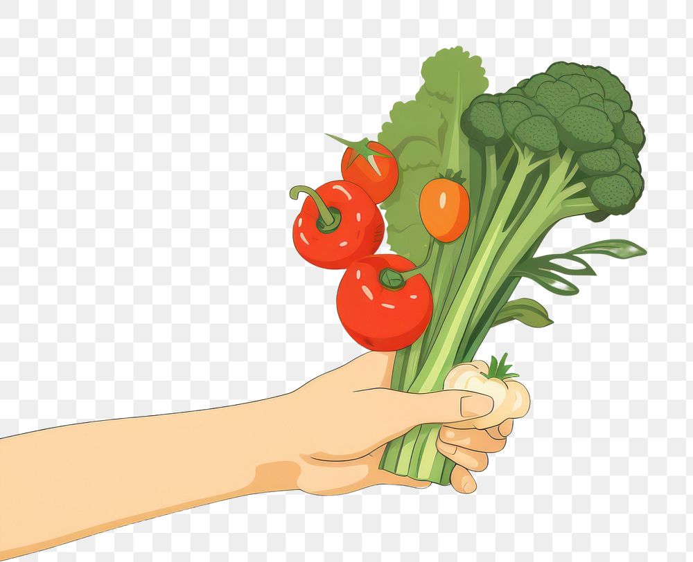PNG Hand pick up vegetable plant food harvesting.