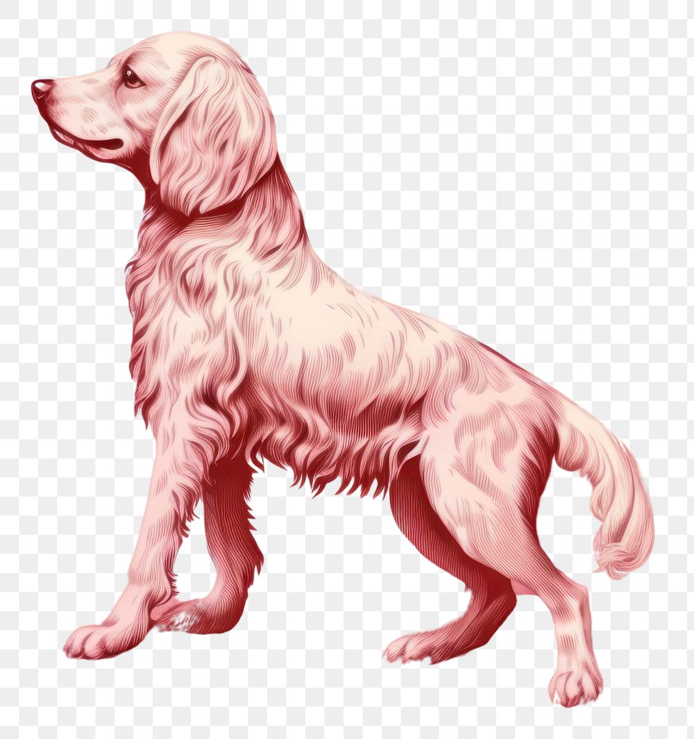 PNG Dog animal mammal pink.