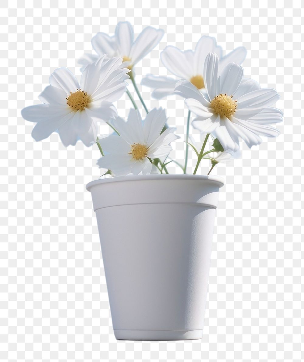 PNG White paper coffee cup flower sky outdoors.