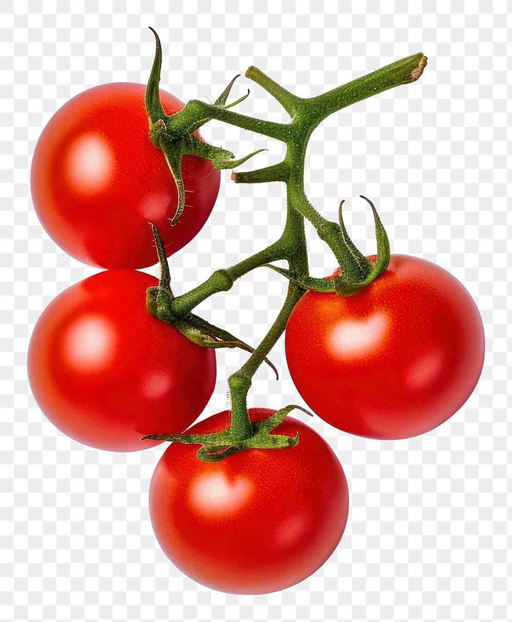 PNG Cherry tomato vegetable plant food.