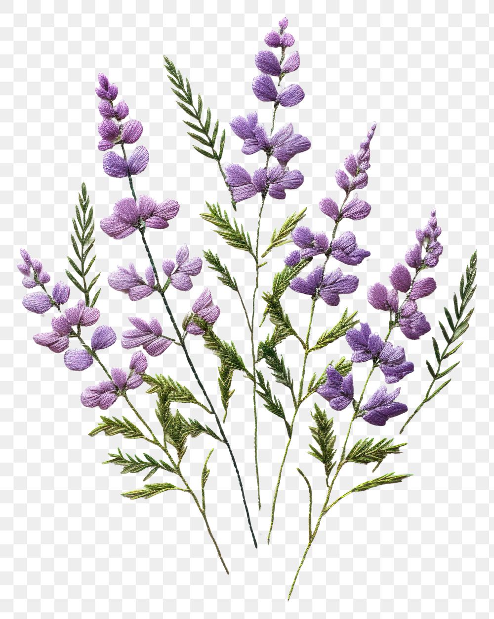 PNG Purple wildflower embroidery style lavender.