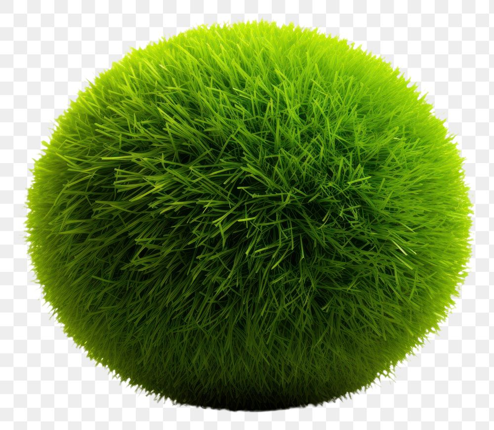 PNG  Grass sphere grass plant ball.