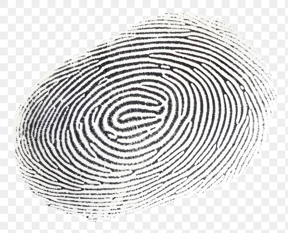 PNG  Fingerprint spiral white background concentric.