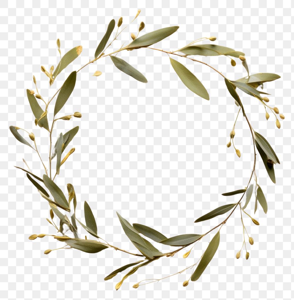 PNG Real pressed olive leaves wreath circle flower. AI generated Image by rawpixel.